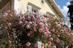 71c5d463-dabb-4f3a-baf8-af728c5b6aa8