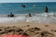 317285036
